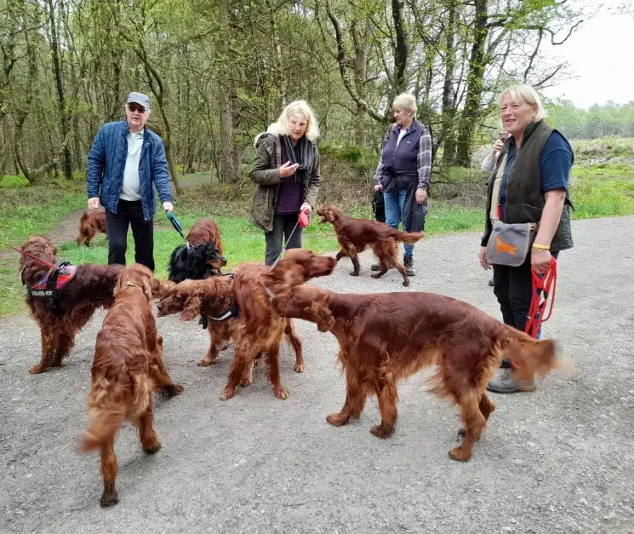 A lovely day out at the Matlock Walk by Chris Moules  2