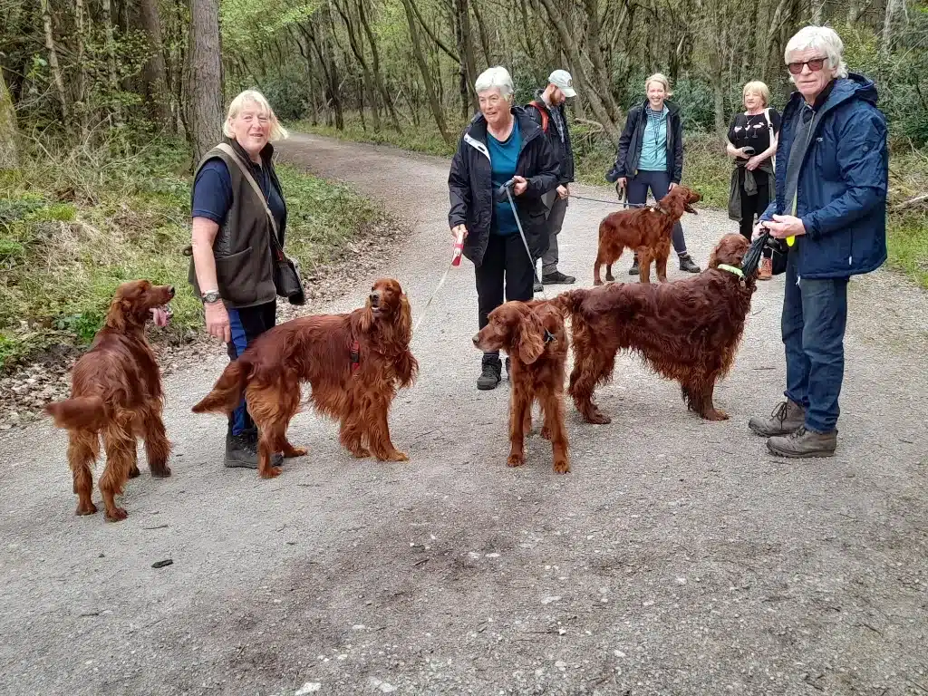 A lovely day out at the Matlock Walk by Chris Moules  1
